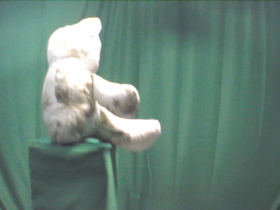 90 Degrees _ Picture 9 _ Green and White Teddy Bear.png
